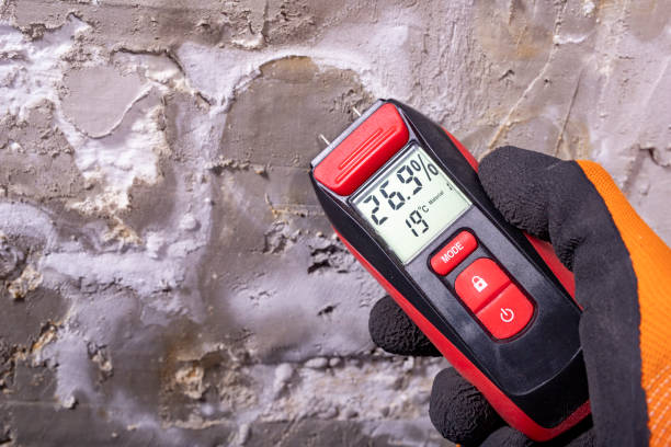 Best Water Damage Restoration  in Laporte, CO
